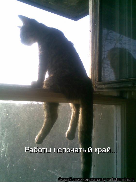 Котоматрица: Работы непочатый край...