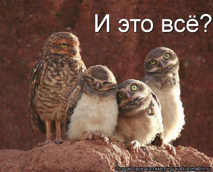 И это всё?... Котоматрица: И это всё?