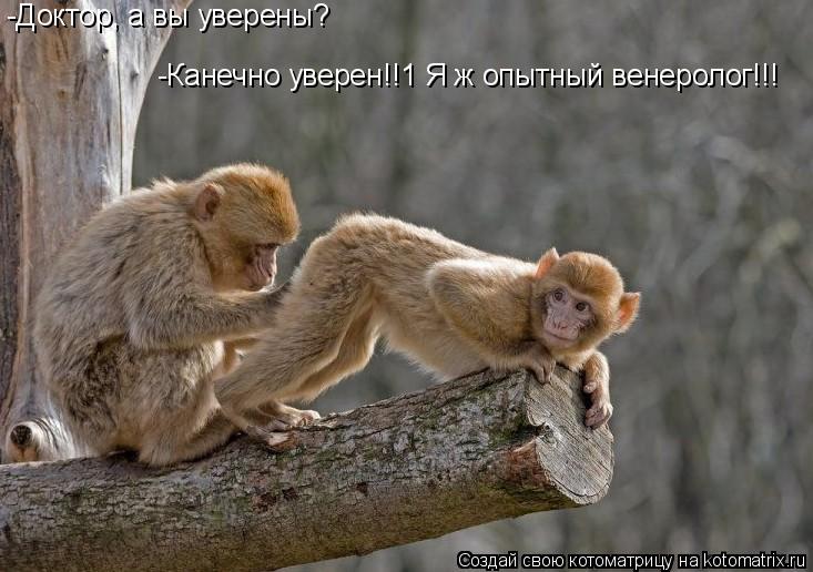 Котоматрица: -Доктор, а вы уверены? -Канечно уверен!!1 Я ж опытный венеролог!!!