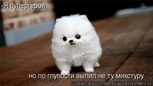 Котоматрица: -Я супергерой, но по глупости выпил не ту микстуру.
