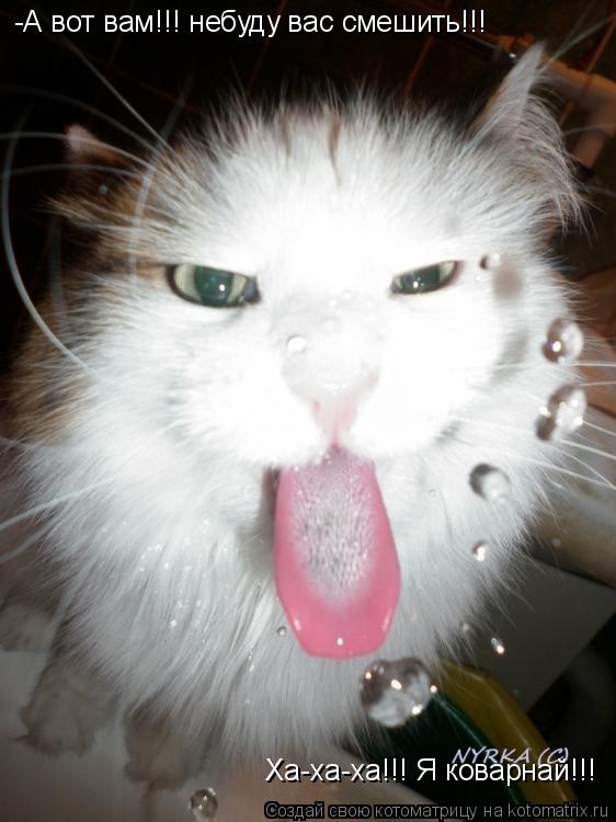 Котоматрица: -А вот вам!!! небуду вас смешить!!!  Ха-ха-ха!!! Я коварнай!!!