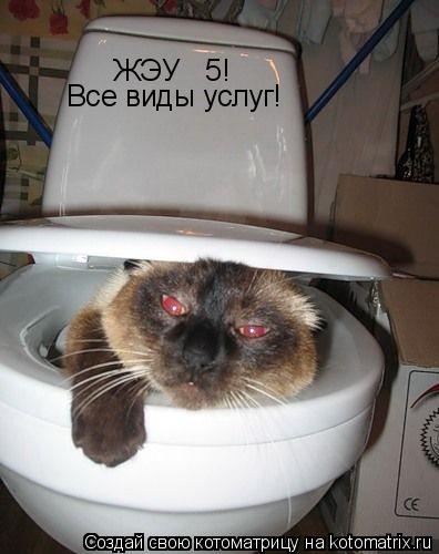 Котоматрица: ЖЭУ № 5!  Все виды услуг!