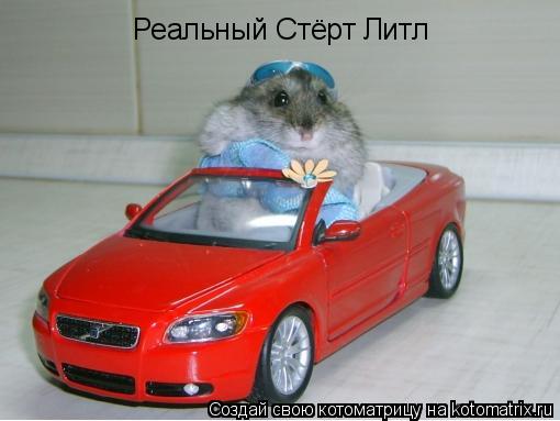 Реальный Стёрт Литл... Котоматрица: Реальный Стёрт Литл