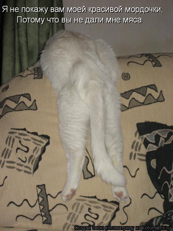 Я не покажу вам моей красивой мордочки, Потому что вы не дали мне мяса... Котоматрица: Я не покажу вам моей красивой мордочки, Потому что вы не дали мне мяса
