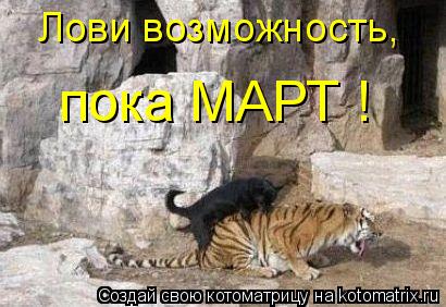 Лови возможность, пока МАРТ !... Котоматрица: Лови возможность, пока МАРТ !