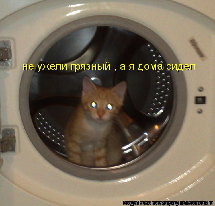не ужели грязный , а я дома сидел... Котоматрица: не ужели грязный , а я дома сидел