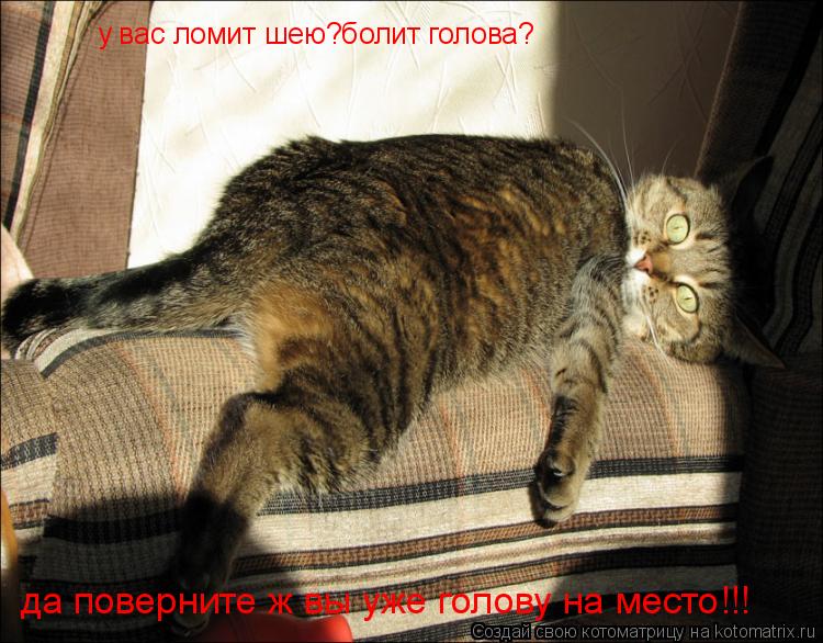у вас ломит шею?болит голова? да поверните ж вы уже голову на место!!!... Котоматрица: у вас ломит шею?болит голова? да поверните ж вы уже голову на место!!!