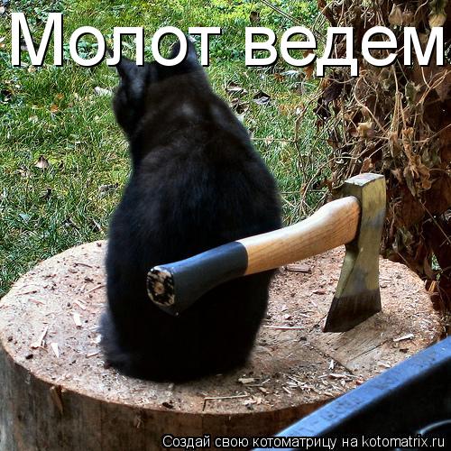 Молот ведем... Котоматрица: Молот ведем