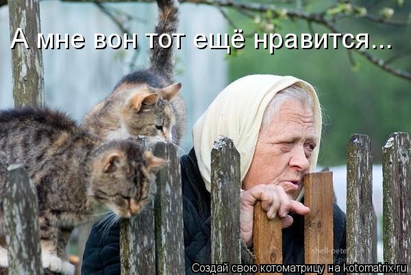 А мне вон тот ещё нравится...... Котоматрица: А мне вон тот ещё нравится...