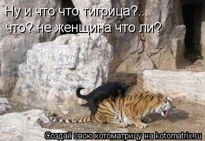 Ну и что что тигрица?... что? не женщина что ли?... Котоматрица: Ну и что что тигрица?... что? не женщина что ли?