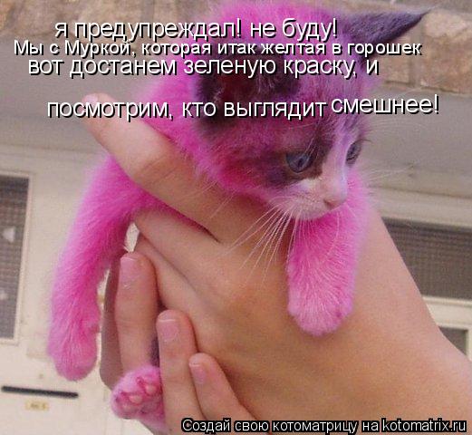 я предупреждал! не буду! посмотрим, кто выглядит вот достанем зеленую краску, и Мы с Муркой, которая... Котоматрица: я предупреждал! не буду! посмотрим, кто выглядит вот достанем зеленую краску, и Мы с Муркой, которая итак желтая в горошек смешнее!