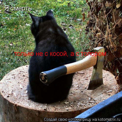 Я смерть только не с косой, а с топором... Котоматрица: Я смерть только не с косой, а с топором