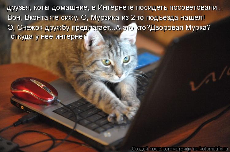 друзья, коты домашние, в Интернете посидеть посоветовали... Вон, Вконтакте сижу. О, Мурзика из 2-го п... Котоматрица: друзья, коты домашние, в Интернете посидеть посоветовали... Вон, Вконтакте сижу. О, Мурзика из 2-го подъезда нашел! О, Снежок дружбу предлагает