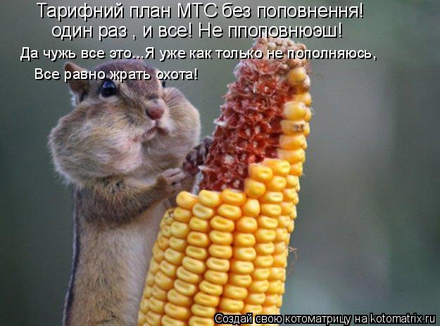 Тарифний план МТС без поповнення! один раз , и все! Не ппоповнюэш! Да чужь все это...Я уже как только... Котоматрица: Тарифний план МТС без поповнення! один раз , и все! Не ппоповнюэш! Да чужь все это...Я уже как только не пополняюсь, Все равно жрать охота!
