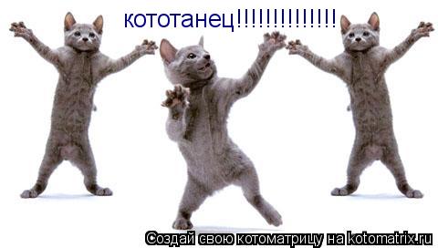 кототанец!!!!!!!!!!!!!!... Котоматрица: кототанец!!!!!!!!!!!!!!