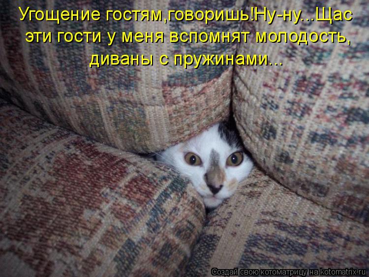 Угощение гостям,говоришь!Ну-ну...Щас эти гости у меня вспомнят молодость, диваны с пружинами...... Котоматрица: Угощение гостям,говоришь!Ну-ну...Щас эти гости у меня вспомнят молодость, диваны с пружинами...