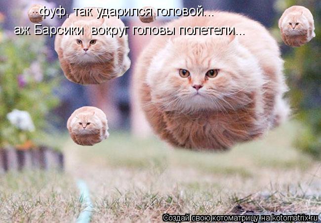 фуф, так ударился головой... фуф, так ударился головой... аж Барсики вокруг головы полетели...... Котоматрица: фуф, так ударился головой... фуф, так ударился головой... аж Барсики вокруг головы полетели...