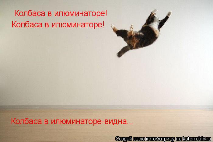 Колбаса в илюминаторе! Колбаса в илюминаторе! Колбаса в илюминаторе-видна...... Котоматрица: Колбаса в илюминаторе! Колбаса в илюминаторе! Колбаса в илюминаторе-видна...