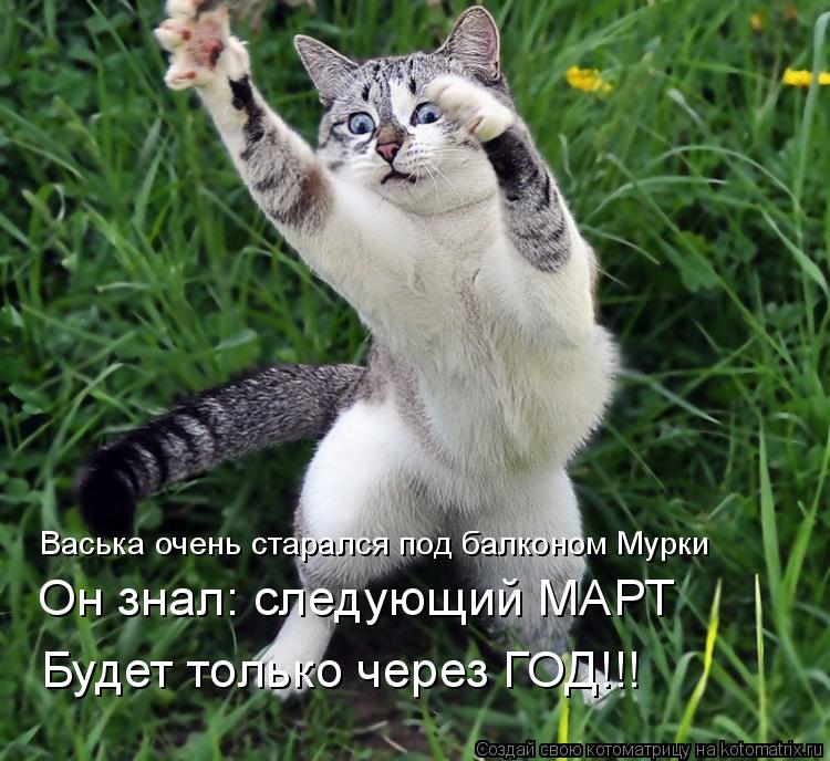 Васька очень старался под балконом Мурки Он знал: следующий МАРТ Будет только через ГОД!!!... Котоматрица: Васька очень старался под балконом Мурки Он знал: следующий МАРТ Будет только через ГОД!!!