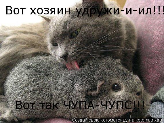 Котоматрица: Вот хозяин удружи-и-ил!!! Вот так ЧУПА-ЧУПС!!!