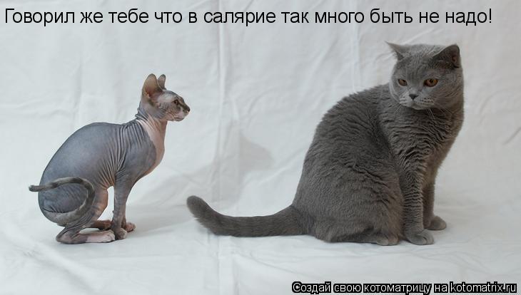 Котоматрица: Говорил же тебе что в салярие так много быть не надо!