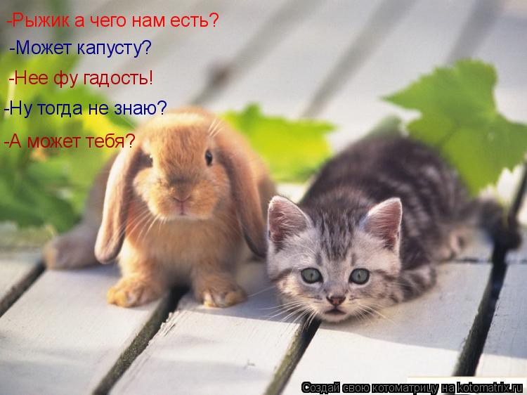 Котоматрица: -Рыжик а чего нам есть? -Может капусту? -Нее фу гадость! -Ну тогда не знаю? -А может тебя?