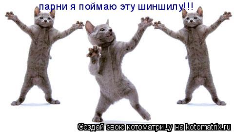 Котоматрица: парни я поймаю эту шиншилу!!!