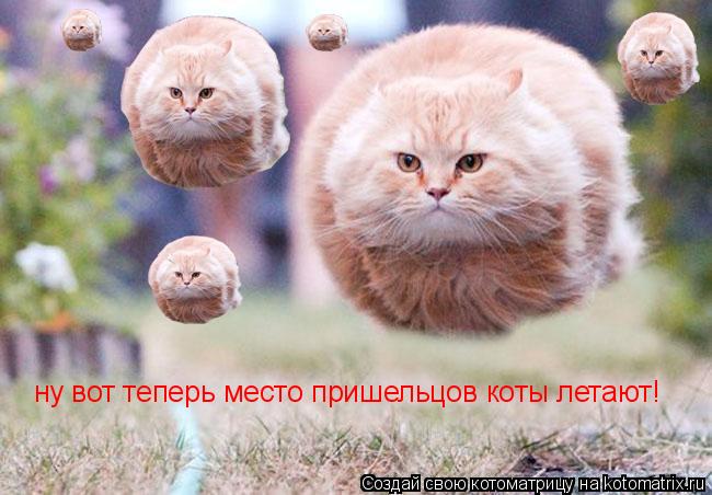 Котоматрица: ну вот теперь место пришельцов коты летают!