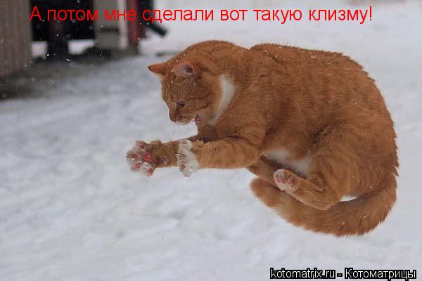 Котоматрица: А потом мне сделали вот такую клизму!