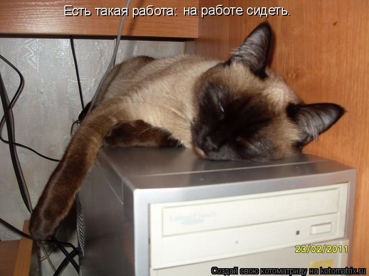 Котоматрица: Есть такая работа: на работе сидеть.