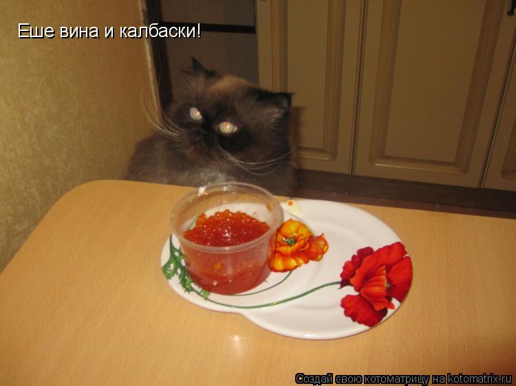 Котоматрица: Еше вина и калбаски!