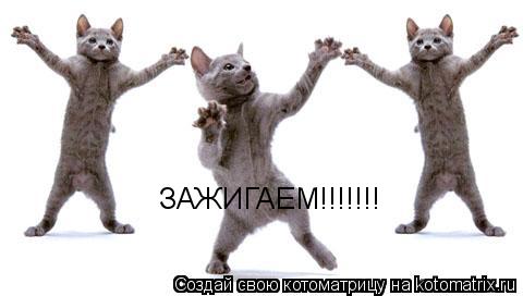 Котоматрица: ЗАЖИГАЕМ!!!!!!!