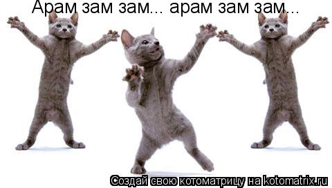 Котоматрица: Арам зам зам... арам зам зам...