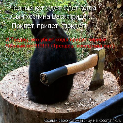 Котоматрица: Чёрный кот ждёт, ждет когда Придёт, придёт , придёт! Сын хозяина Вася придёт... И Тредец, его убьёт когда придёт чёрный  Чёрный кот!!!!!!!!! (Тренде