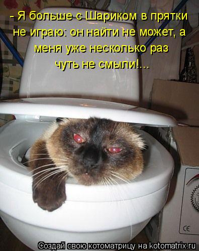 Котоматрица: - Я больше с Шариком в прятки  не играю: он найти не может, а  меня уже несколько раз  чуть не смыли!...