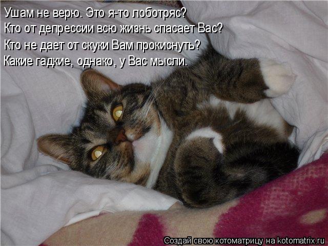 Ушам не верю. Это я-то лоботряс? Кто от депрессии всю жизнь спасает Вас? Кто не дает от скуки Вам про... Котоматрица: Ушам не верю. Это я-то лоботряс? Кто от депрессии всю жизнь спасает Вас? Кто не дает от скуки Вам прокиснуть? Какие гадкие, однако, у Вас мысли.
