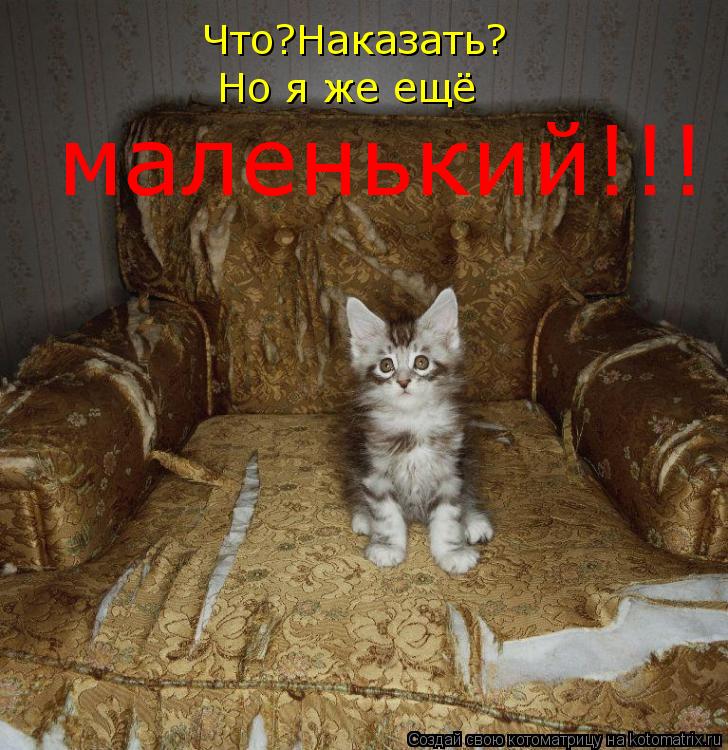 Котоматрица: Что?Наказать? Но я же ещё маленький!!!