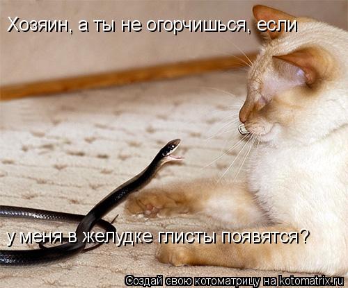 Котоматрица: Хозяин, а ты не огорчишься, если у меня в желудке глисты появятся?