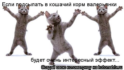 Котоматрица: Если подсыпать в кошачий корм валерьянки будет очень интересный эффект...