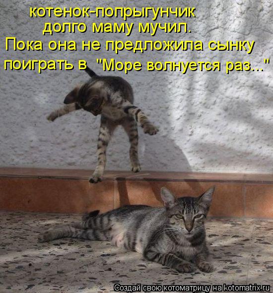 котенок-попрыгунчик долго маму мучил. Пока она не предложила сынку поиграть в "Море волнуется раз..."... Котоматрица: котенок-попрыгунчик долго маму мучил. Пока она не предложила сынку поиграть в "Море волнуется раз..."