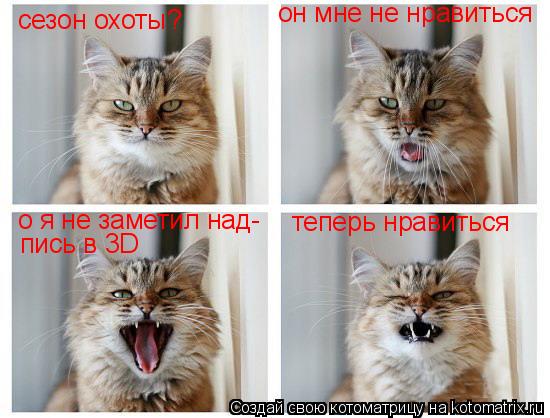 Котоматрица: сезон охоты? он мне не нравиться о я не заметил над- пись в 3D теперь нравиться