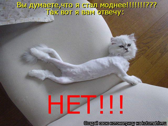 Котоматрица: Вы думаете,что я стал моднее!!!!!!!??? Так вот я вам отвечу: НЕТ!!!