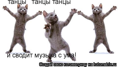 Котоматрица: танцы   танцы танцы   и сводит музыка с ума!