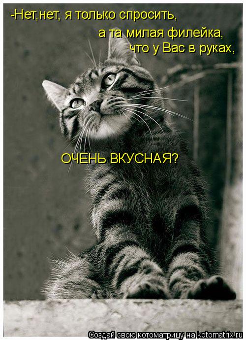 -Нет,нет, я только спросить, а та милая филейка, что у Вас в руках, ОЧЕНЬ ВКУСНАЯ?... Котоматрица: -Нет,нет, я только спросить, а та милая филейка, что у Вас в руках, ОЧЕНЬ ВКУСНАЯ?