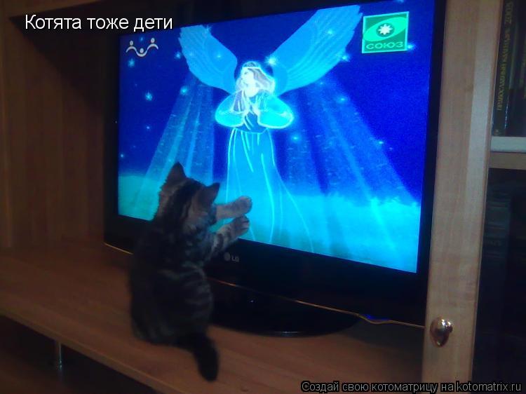 Котята тоже дети... Котоматрица: Котята тоже дети