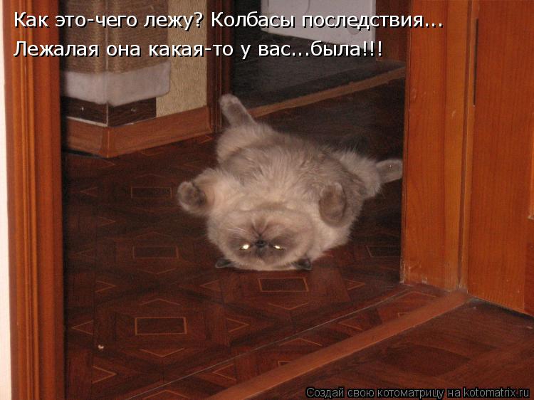 Как это-чего лежу? Колбасы последствия... Лежалая она какая-то у вас...была!!!... Котоматрица: Как это-чего лежу? Колбасы последствия... Лежалая она какая-то у вас...была!!!