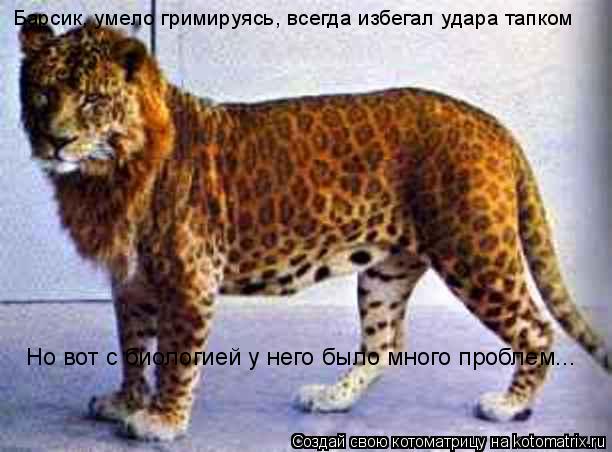 Барсик, умело гримируясь, всегда избегал удара тапком Но вот с биологией у него было много проблем...... Котоматрица: Барсик, умело гримируясь, всегда избегал удара тапком Но вот с биологией у него было много проблем...