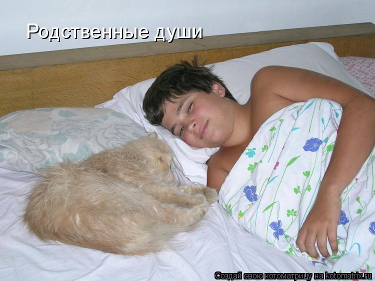 Родственные души... Котоматрица: Родственные души