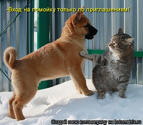 -Вход на помойку только по приглашениям!... Котоматрица: -Вход на помойку только по приглашениям!