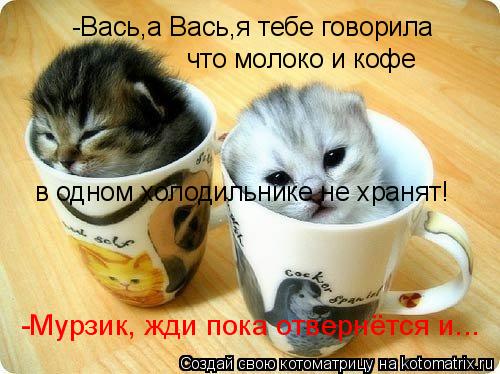 -Вась,а Вась,я тебе говорила что молоко и кофе в одном холодильнике не хранят! -Мурзик, жди пока о... Котоматрица: -Вась,а Вась,я тебе говорила что молоко и кофе в одном холодильнике не хранят! -Мурзик, жди пока отвернётся и...